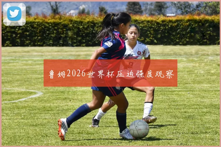鲁姆2026世界杯压迫强度观察