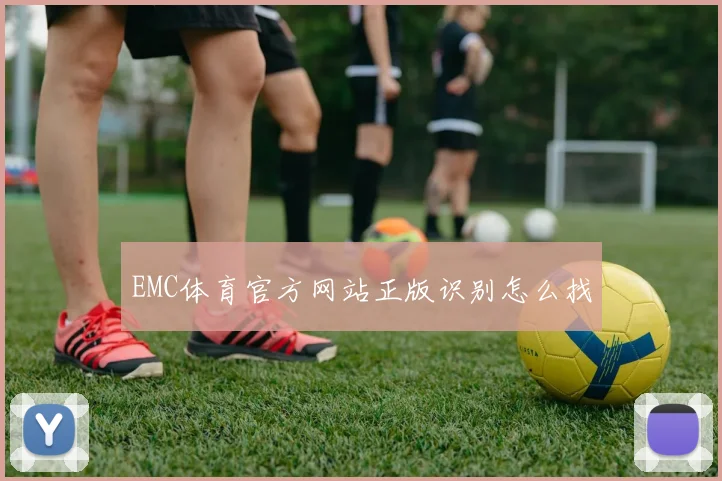 EMC体育官方网站正版识别怎么找