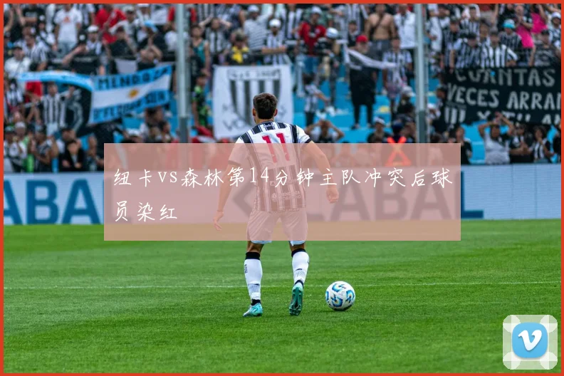 纽卡vs森林第14分钟主队冲突后球员染红