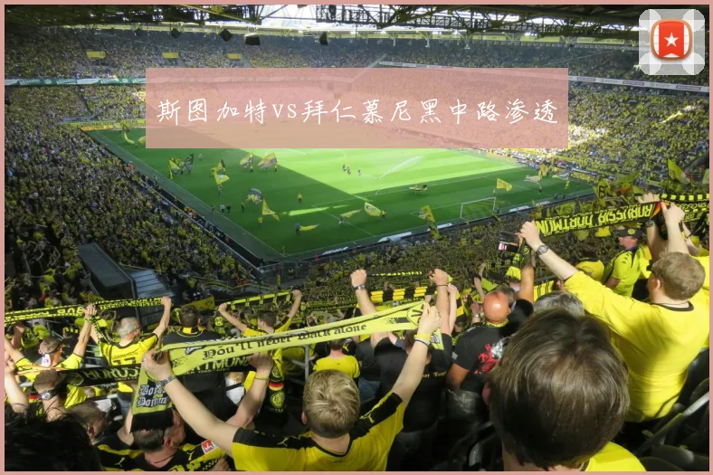 斯图加特vs拜仁慕尼黑中路渗透