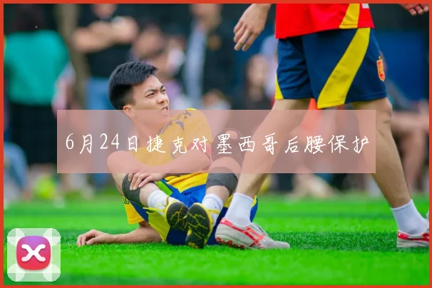 6月24日捷克对墨西哥后腰保护